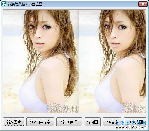 易语言转换八位256色位图源码