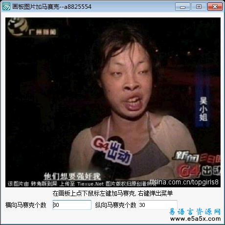 易语言图片加马赛克源码